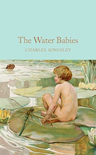 The Water-Babies : A Fairy Tale For A Land-Baby Charles Kingsley - Image 3
