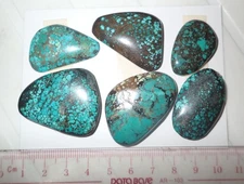 Turquoise Stone Flat Free Form Cabochon 223 Carat 6 pieces 44.6 gram