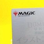 Foto 7 di 10