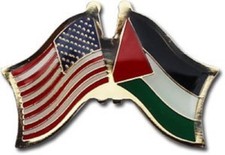 USA American Palestine Friendship Flag Enamel Lapel Pin Clutch Back NIP P09783