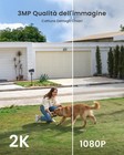 Foto 21 di 24