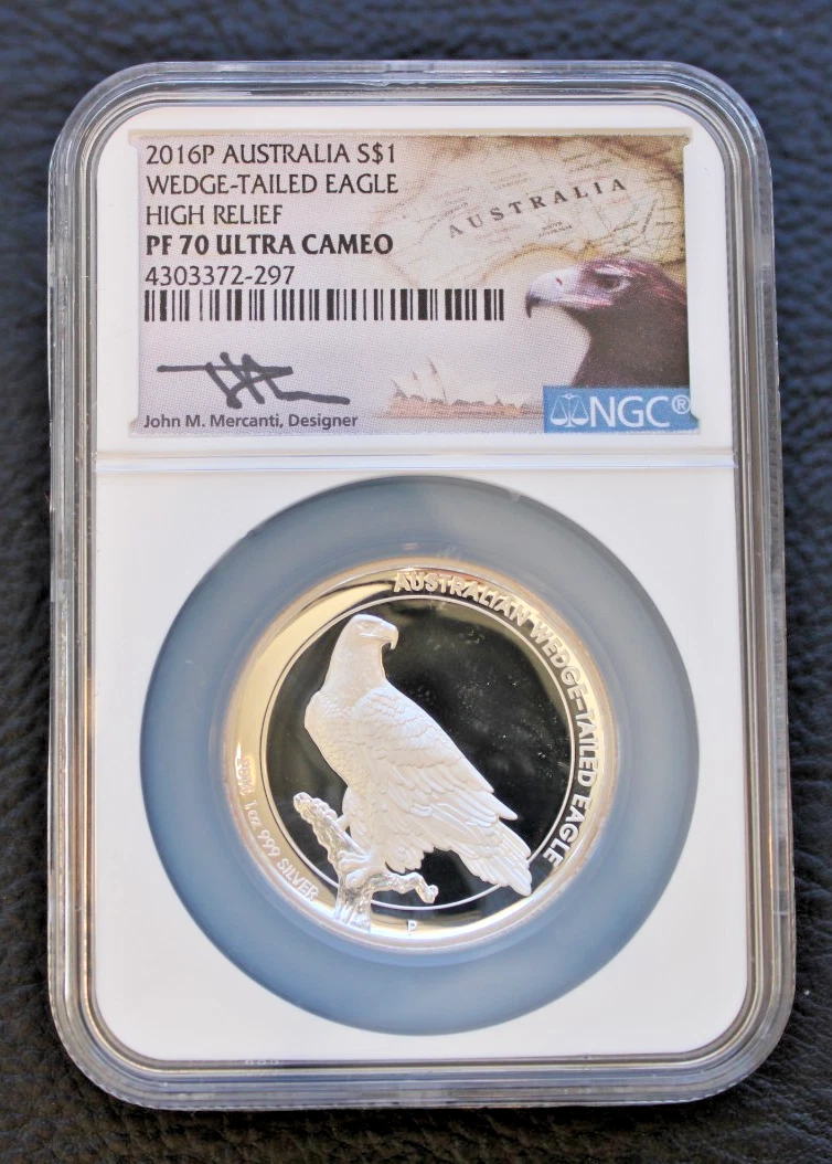 Wedge Tailed Eagle for sale | eBay