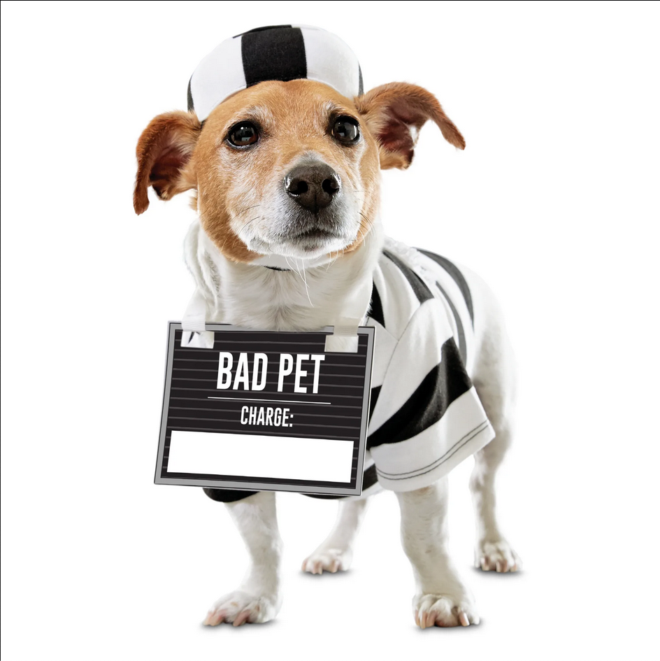 Bootique PET-ITENTIARY Prisoner Dog Costume Petco Size XS