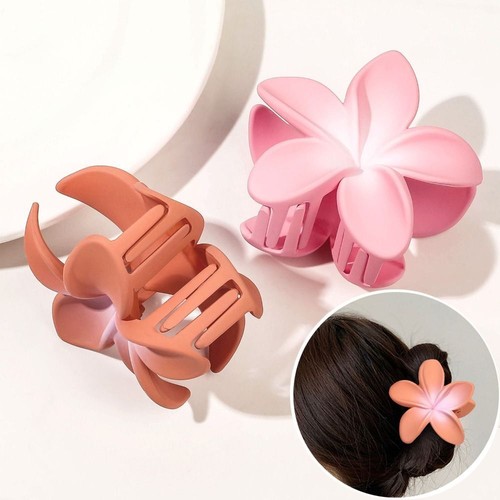 Transparent Color Frangipani Hair Clips Gradient Disk Hair Shark Clip