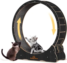Cat Wheel Cat Exercise Wheels for Indoor Cats, 45 Inch Large Cat Running Wheel w