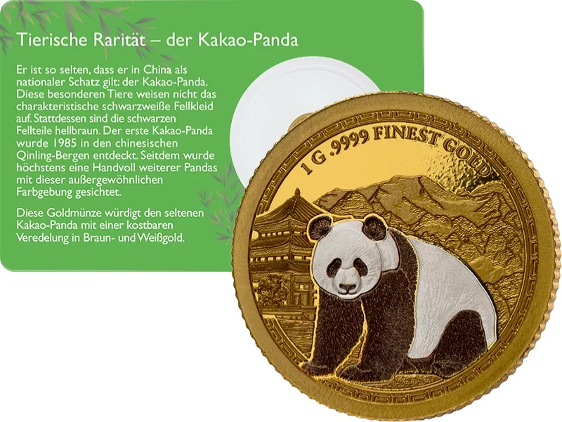 2025 Samoa 9999 Gold Coin Chinese Brown Panda WWF Colored 24K Gold Wildlife RARE - Image 3 of 4
