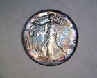 1987  SILVER EAGLE IN BRILLIANT UNCIRCULATED WITH ORIGINAL TONING