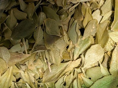 Organic Buchu Leaf- Aromatic Tea-  1.5  Ounce Bag