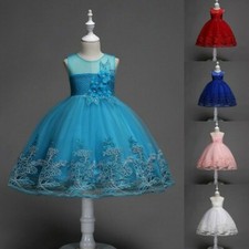 Girls Bridesmaid Dress Kids Baby Flower Bow Princess Wedding Party Dress New