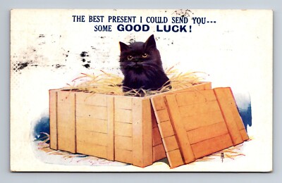 Good Luck Black Cat Crate Bamforth c1931 Postcard