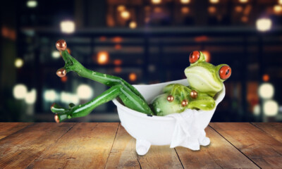 Frog in Bath Tub 6''W*4''H Creative Craft Resin Frog Figurine Room Decor