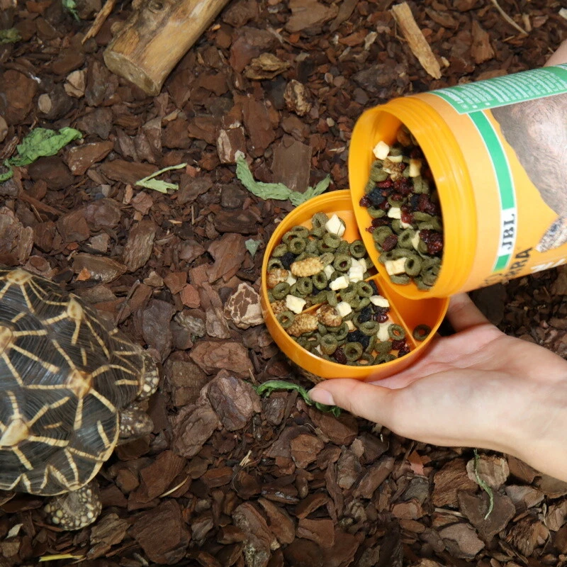 JBL PROTERRA FRUCTIL- Hauptfutter für alle Landschildkröten mit Früchten 250 ml - Bild 3 von 4