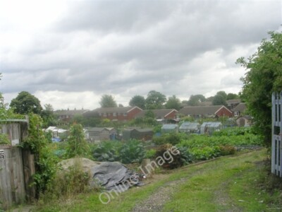 Photo 6x4 Allotments - Altofts Hall Road Normanton/SE3822  c2009