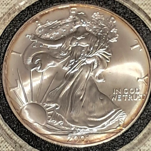 2001  American Silver Eagle ( 1oz  Fine Silver) Rainbow Toning UNC  Scarcer Date