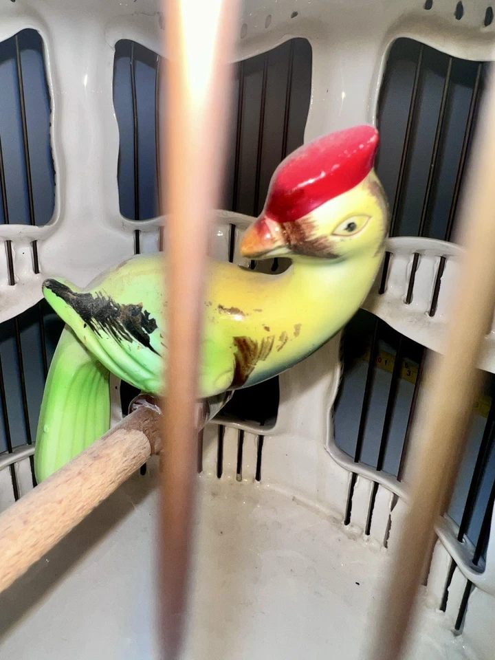 Jaula para pájaros de cerámica de porcelana francesa vintage con pájaro Foto 3 de 4