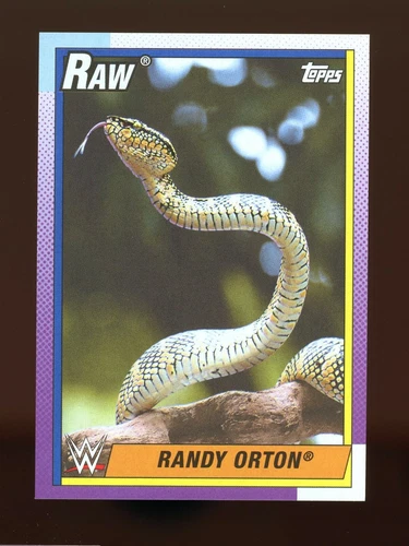 THE VIPER 2021 Topps Heritage WWE Randy Orton #33 IMAGE VARIATION SP - MINT