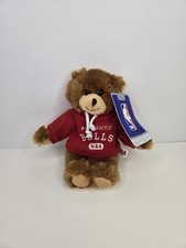 Vintage Chicago Bulls Stuffed Plush Bear W/ Hoodie Authentic 2006 NBA