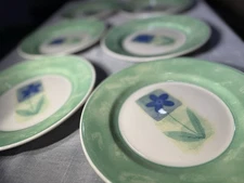 Pier 1 England Periwinkle 8” Salad Plates Set of 6 Blue Flower Green Border EUC