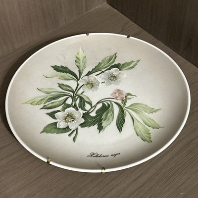 Kaiser W. Germany Christrose 7 1/2'' Collector Plate-Purchased at Philipp Jost