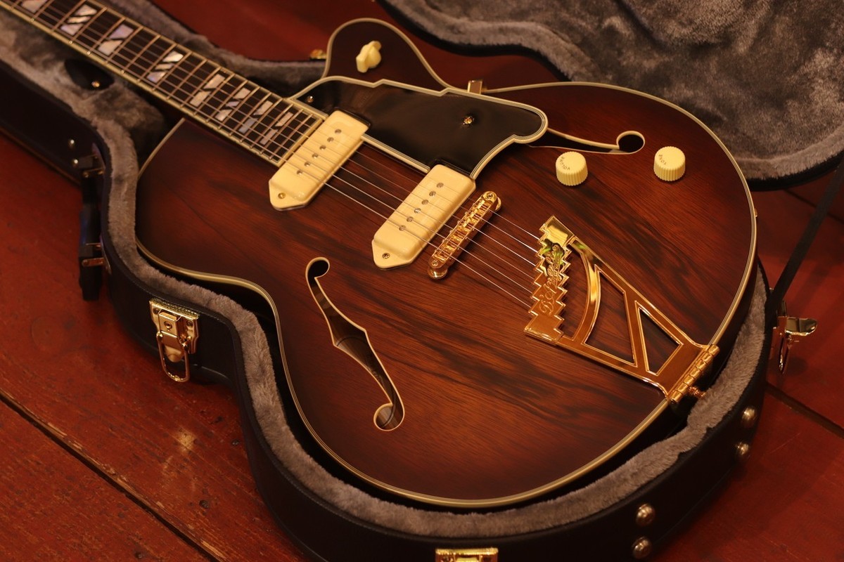 D'Angelico Deluxe 59 Satin Brown Burst 2023 w/hard case USED | eBay