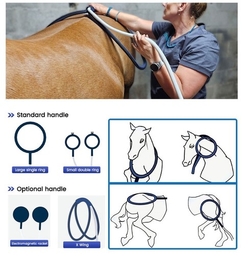 PEMT LOOP PEMF Magnetfeldtherapiegerät Pferd Schmerzlinderung Physio Magneto Equine - Bild 10 von 23