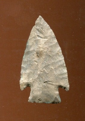 VERY FINE MCINTIRE POINT - LIMESTONE, ALABAMA - EX AL BEINLICH, JOHN BERNER - F6