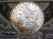 1896 "P" Morgan SILVER Dollar **PHILADELPHIA** Mint $1 #EC3 *TONING* ECC&C, Inc.