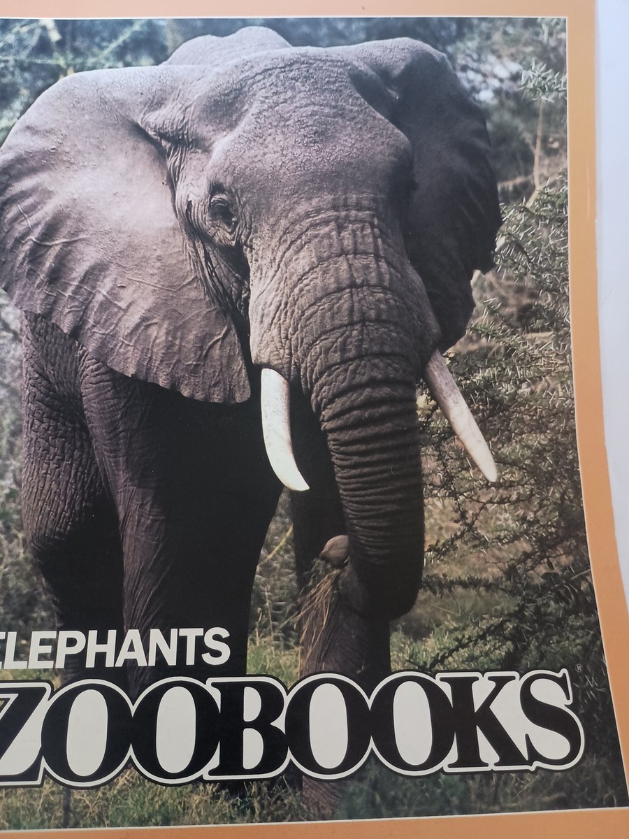 Elephants (Zoobooks Series) by John Bonnett Wexo P7 9780937934005
