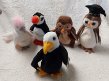 Lot of 5 Ty Beanie Babies Birds Hoot Baldy Puffer Kuku Wise Class '98 Owl MWMT