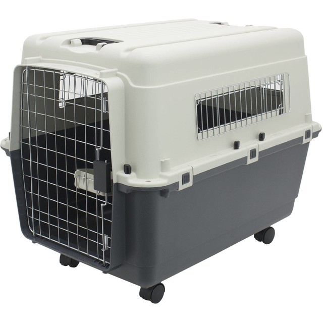 large plastic pet carrier