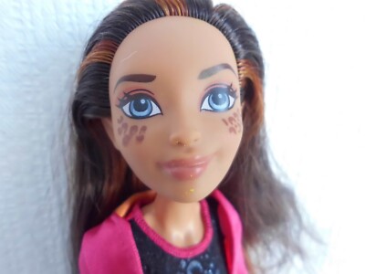 DC SUPER HERO GIRLS GREAT VARIATION GREAT PRICES UPDATED 12/06/25