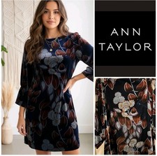 Ann Taylor Velvet Dress