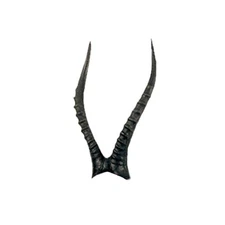 Delta Mckenzie African Blesbok 3D Archery Target Replacement Horns