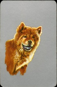 CHOW CHOW Chinese Dog Full Deck of 54 Playing Cards Inc. 2 Jokers