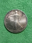 1995 American Silver Eagle With Nice Blue & Red Colored Toning