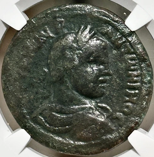 Elagabalus Phoenicia Aradus AE32  AD 218-222 Cyprus tree Bull Lion NGC F