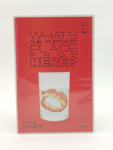 Whats The Furthest Place From Here? #3 Deluxe Edition Image Comics