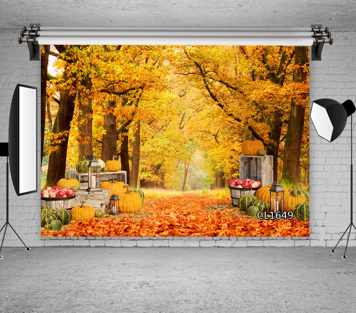 10x8ft Autumn Forest Trees Fall Harvest Pumpkin Photo Background