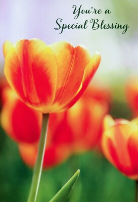 Special Blessing EASTER Card, Orange Tulip Flower Hope Joy by Hallmark +Envelope