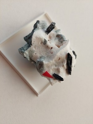 Neptunit, San Benito Gem Mine, San Benito County, Californien, U.S.A. (N-11)