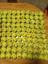 100 used tennis balls great dog balls 