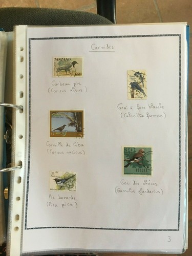 Briefmarken Thema Vögel - Passeriformen n* Mh oder obl - 24 Marken (LEO1) - Bild 4 von 7