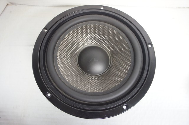 carbon fiber woofer