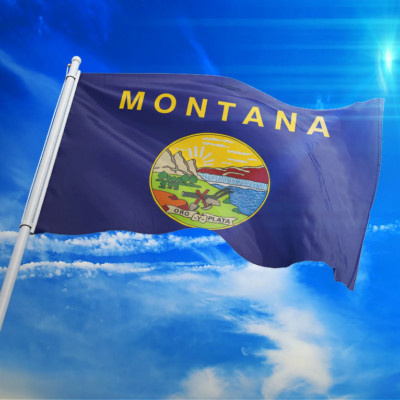 NEW 3x5 ft MONTANA STATE OF FLAG better quality usa seller