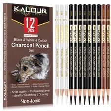 12 Pieces Pro Colored Charcoal Drawing Set Pastel Chalk Pencils for Sketching