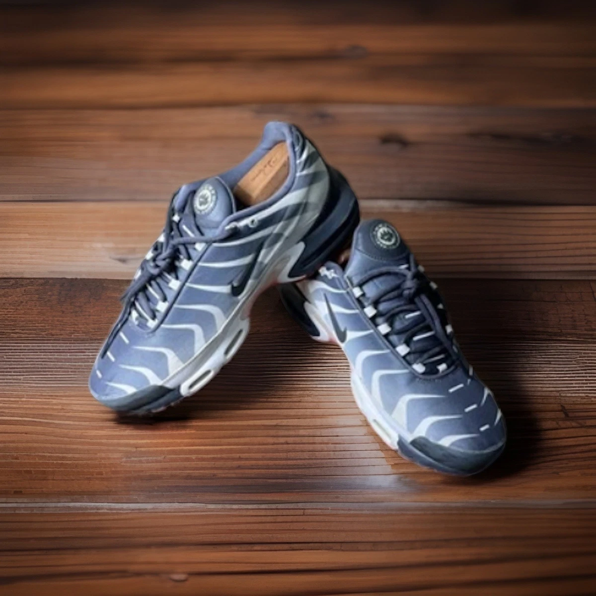 Nike Air Max Plus Before the Bite for Sale | Authenticity