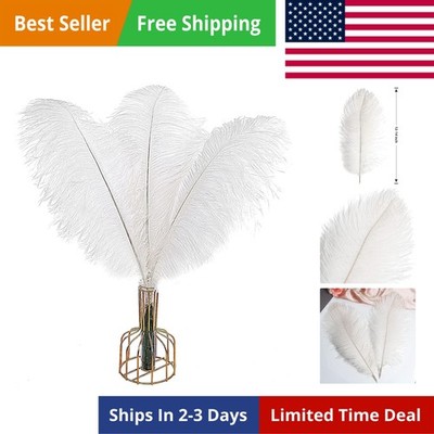 12pcs White Ostrich Feathers Natural Bulk 12-14Inch 30cm-35cm for Wedding Par...