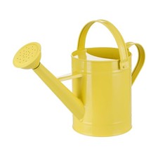 Watering Can for Plants, 55 Oz Metal Watering Can with Removable Spout for In...