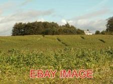 PHOTO  HAY CLOSE MAIZE MAZE AS N FROM THE ROAD FOR A MUCH MORE INFORMATIVE AERIA