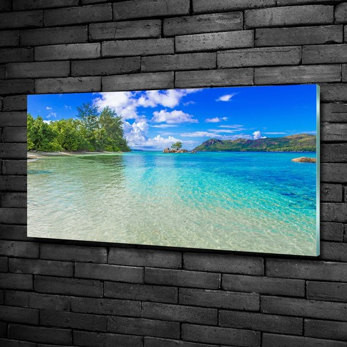 Tableau Tulup Sur Verre Trempé 70x100 Cm - Plage Tropicale Paysage Vert